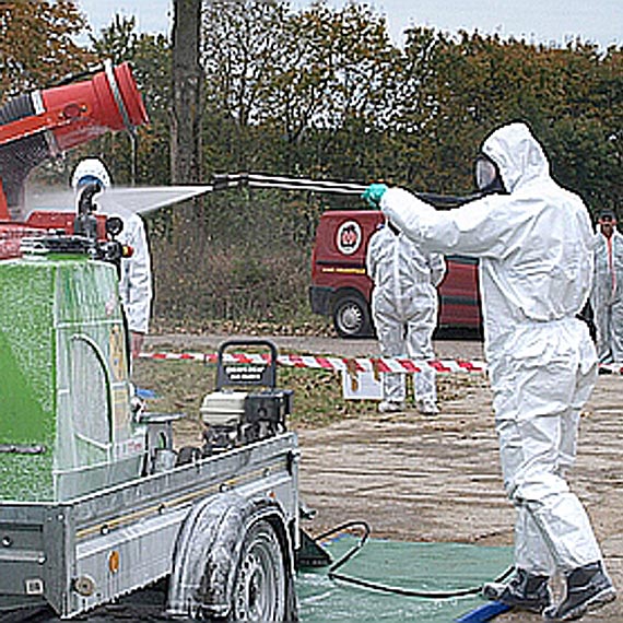 Uwaga na afryka�ski pom�r �wi�. G��wny Lekarz Weterynarii ostrzega!