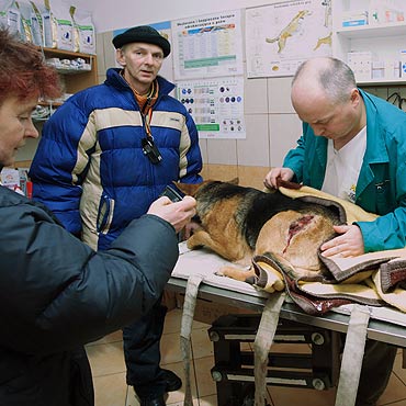 Uratowali rann� suczk�