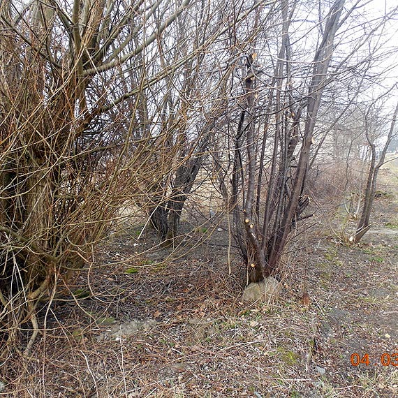 S.S "Warcis�aw" rozpocz�a wiosenne porz�dki